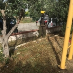 Didim Belediyesi’nden ’kuru ot’ seferberliği 5 Didim Belediyesi’nden ’kuru ot’ seferberliği