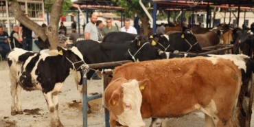 Didim’de kurban kesim yerleri belli oldu