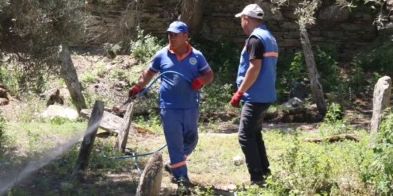 Direcik Mahallesi’nde belediye ekipleri iş başı yaptı