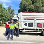Eksik evrakla canlı hayvan taşıyan 2 kişi cezadan kaçamadı 1 Eksik evrakla canlı hayvan taşıyan 2 kişi cezadan kaçamadı