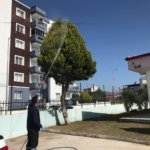 Germencik Belediyesi’nden yaz öncesi yoğun ilaçlama mesaisi 6 Germencik Belediyesi’nden yaz öncesi yoğun ilaçlama mesaisi