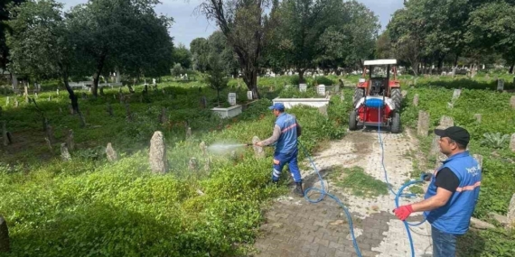Hamzabali Mezarlığı bakıma alındı