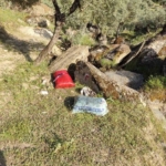 İzinsiz zeytin toplayan 11 şüpheli yakalandı 5 İzinsiz zeytin toplayan 11 şüpheli yakalandı