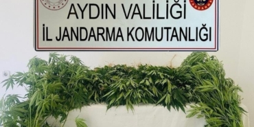 Jandarma ekipleri uyuşturucuya geçit vermedi