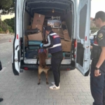 Jandarmadan ‘Sıcak Nokta’ uygulaması 4 Jandarmadan ‘Sıcak Nokta’ uygulaması