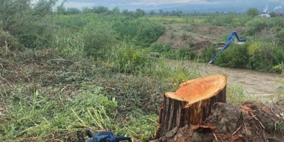 Kamuya ait alanda ağaç kesen şüpheliler yakalandı