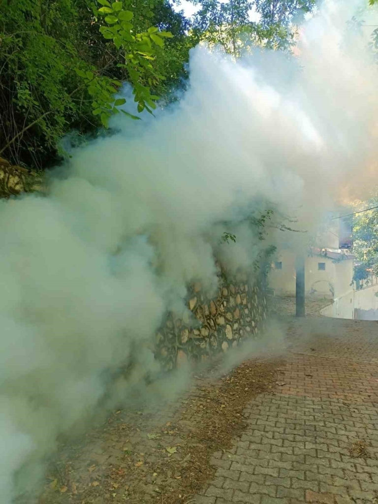 karacasuda sinek ve larva ilaclamasi yapildi 21c32ce1d2a7