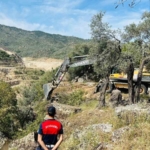 Kaybolan inekler, uçurumda bulundu 1 Kaybolan inekler, uçurumda bulundu