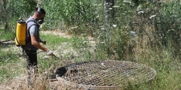 Kuşadası Belediyesi halk sağlığı için vektörel mücadelesini sürdürüyor 40 Kuşadası Belediyesi halk sağlığı için vektörel mücadelesini sürdürüyor
