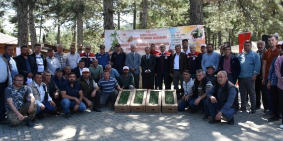 Kuyucak’ta 220 bin domates fidesi dağıtıldı