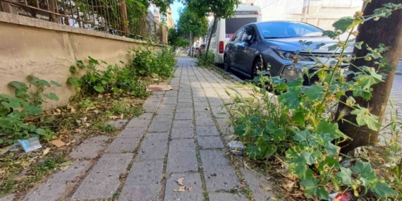 Mera değil Efeler’in merkez mahallesi