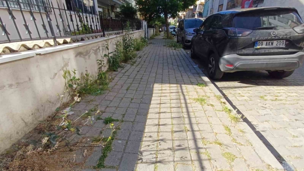 mera degil efelerin merkez mahallesi 21f209c2a608