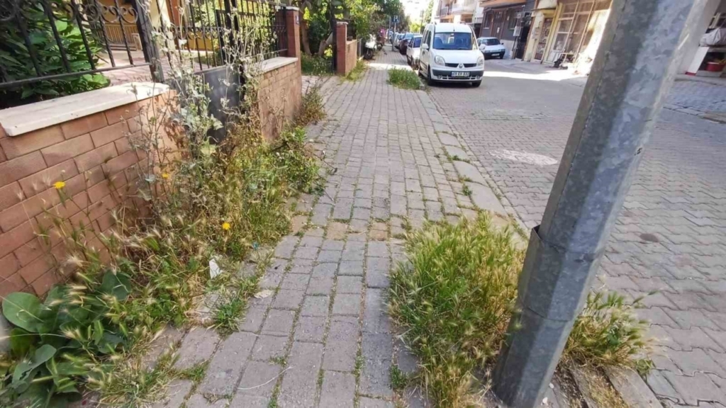 mera degil efelerin merkez mahallesi 762de7b2c613