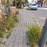 Mera değil Efeler’in merkez mahallesi 2 Mera değil Efeler’in merkez mahallesi