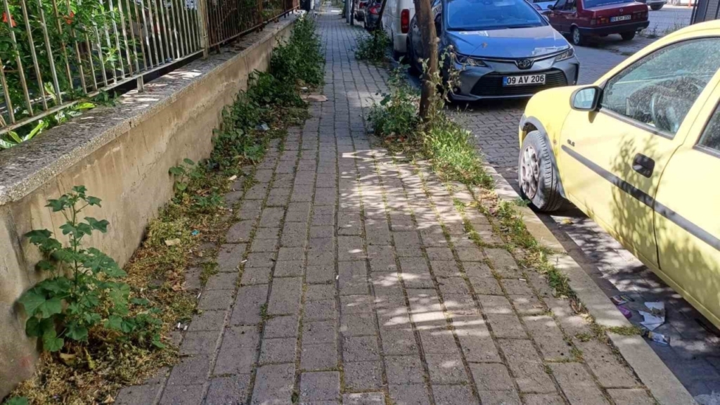 mera degil efelerin merkez mahallesi cede8b40c93a