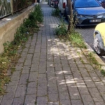 Mera değil Efeler’in merkez mahallesi 4 Mera değil Efeler’in merkez mahallesi