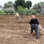 Mutluluğu toprakta buldular 4 Mutluluğu toprakta buldular