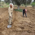 Mutluluğu toprakta buldular 5 Mutluluğu toprakta buldular