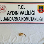 Nişanda takılan altınları alıp kaçtı, jandarma yakalayıp teslim etti 5 Nişanda takılan altınları alıp kaçtı, jandarma yakalayıp teslim etti