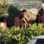 Pikaptan düşen çocuk hayatını kaybetti 2 Pikaptan düşen çocuk hayatını kaybetti
