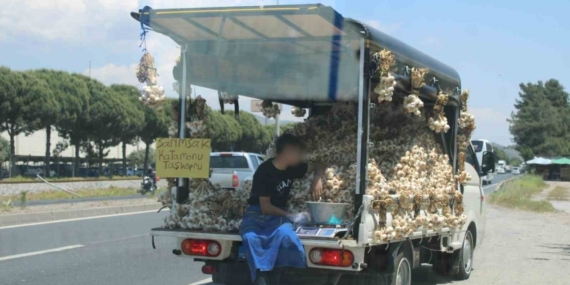Sarımsak satıcısının tehlikeli yolculuğu