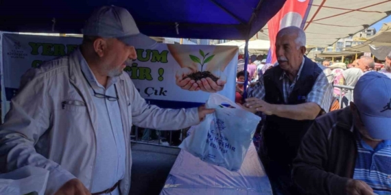 Söke’de 40 bin ata tohumu fidesi dağıtıldı