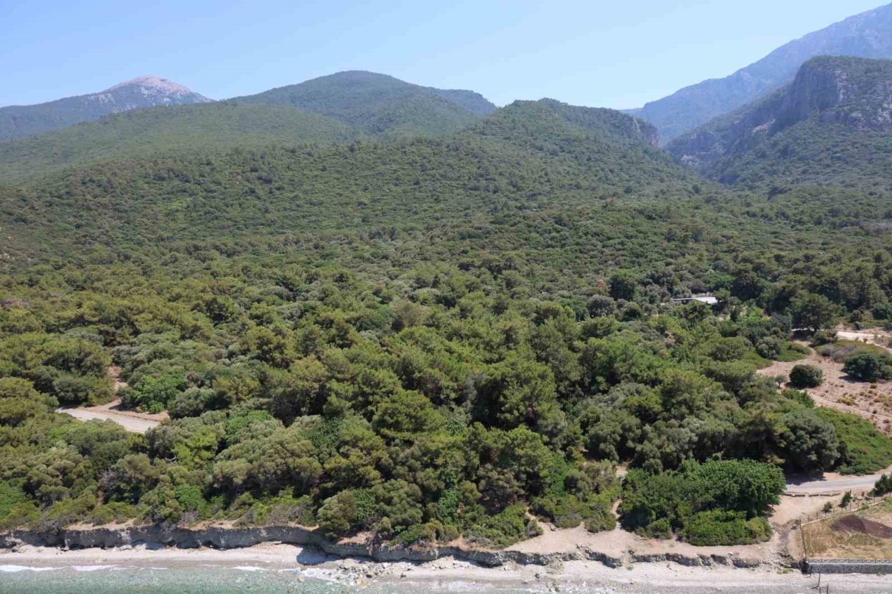 valilik onlem aldi ormanlik alanlara girisler yasaklandi c96f5d707439