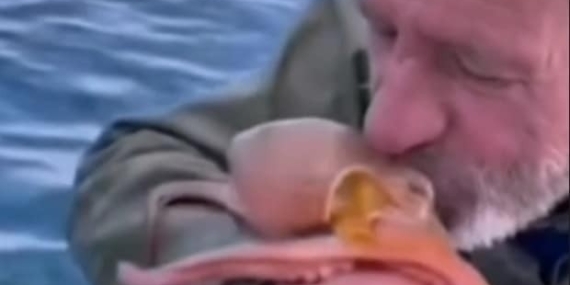 Yakaladığı ahtapotu öpüp sevdi, denize bıraktı