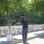 Yenipazar’da çevre düzenlemesi sürüyor 2 Yenipazar’da çevre düzenlemesi sürüyor