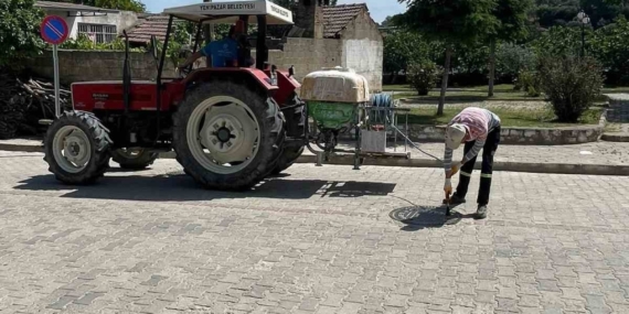Yenipazar’da haşerelere karşı ortak mücadele