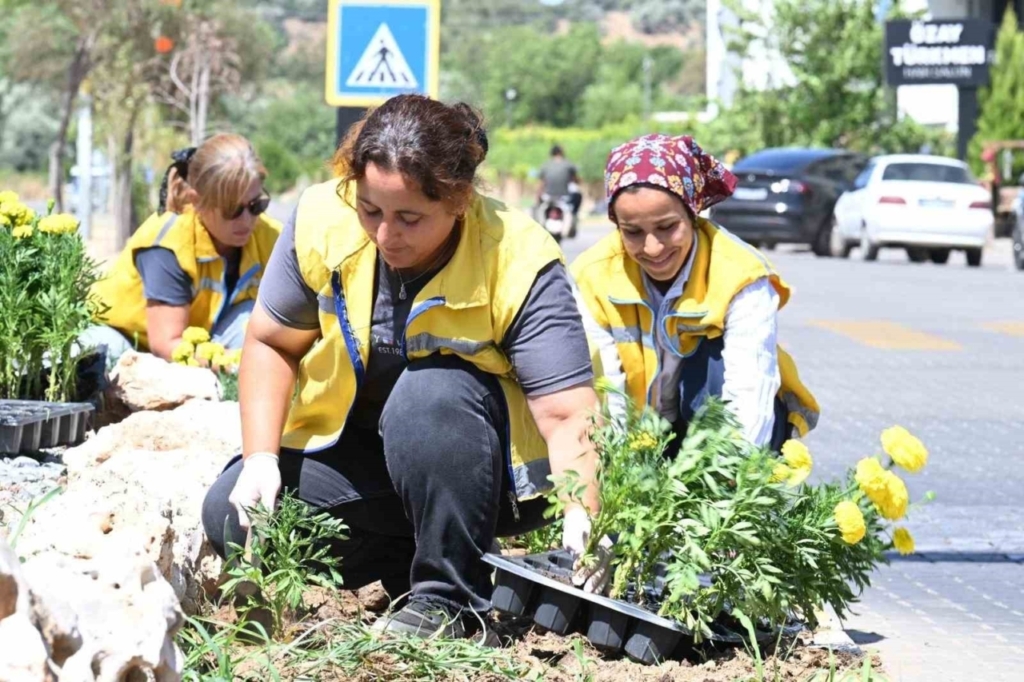 aydin buyuksehirden nazillide temizlik ve peyzaj calismasi 5327ac516b72