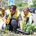 Aydın Büyükşehir’den Nazilli’de temizlik ve peyzaj çalışması 5 Aydın Büyükşehir’den Nazilli’de temizlik ve peyzaj çalışması