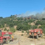 Aydın’da makilik alandaki yangın kontrol altına alındı 1 Aydın’da makilik alandaki yangın kontrol altına alındı