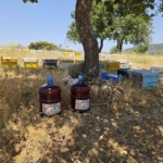 Aydın’da orman yangınlarına karşı yeni tedbir alındı 4 Aydın’da orman yangınlarına karşı yeni tedbir alındı