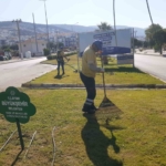 Başkan Çerçioğlu’ndan Aydın’a yeşil dokunuş 1 Başkan Çerçioğlu’ndan Aydın’a yeşil dokunuş