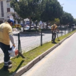 Başkan Çerçioğlu’ndan Aydın’a yeşil dokunuş 4 Başkan Çerçioğlu’ndan Aydın’a yeşil dokunuş