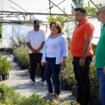 Başkan Gençay, kekik hasadına katıldı 6 Başkan Gençay, kekik hasadına katıldı