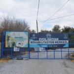 Başkan Günel’den can dostlar için yeni bir hizmet daha 5 Başkan Günel’den can dostlar için yeni bir hizmet daha
