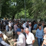 Bozdoğan Belediyesi’nden Kurban Bayramı öncesi satış yeri hizmeti 9 Bozdoğan Belediyesi’nden Kurban Bayramı öncesi satış yeri hizmeti
