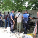 Bozdoğan Belediyesi’nden Kurban Bayramı öncesi satış yeri hizmeti 7 Bozdoğan Belediyesi’nden Kurban Bayramı öncesi satış yeri hizmeti