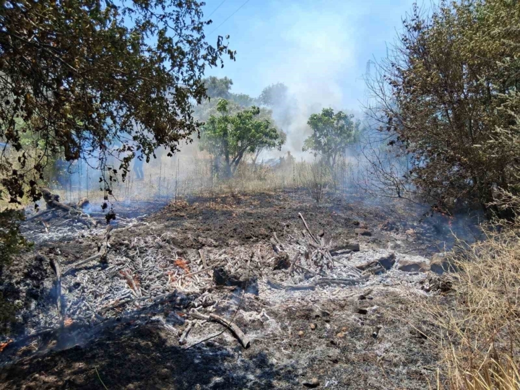 Bozdoğan’da arazi yangını 5 bozdoganda arazi yangini e7aeeec8da88
