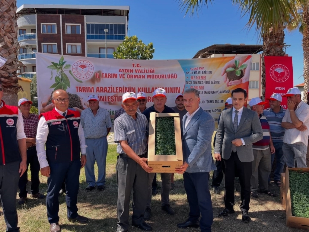 buharkentte domates fideleri ureticilere teslim edildi 415f77511b65