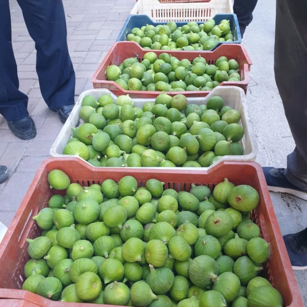 Buharkent’te ilek tezgahları denetlendi 2 buharkentte ilek tezgahlari denetlendi 3fdbc90640cc