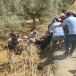 Devrilen traktörün altında kalan sürücü hayatını kaybetti 6 Devrilen traktörün altında kalan sürücü hayatını kaybetti