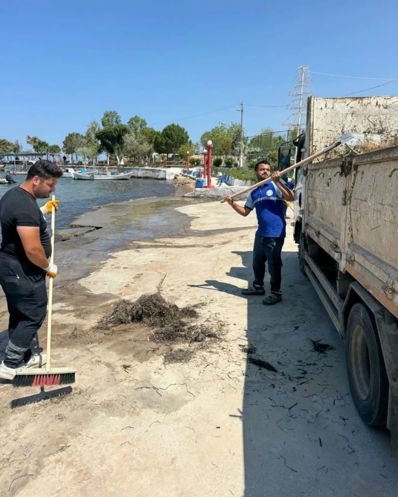 didim belediyesi mavisehir sahilini temizledi 3e5a4df7775b
