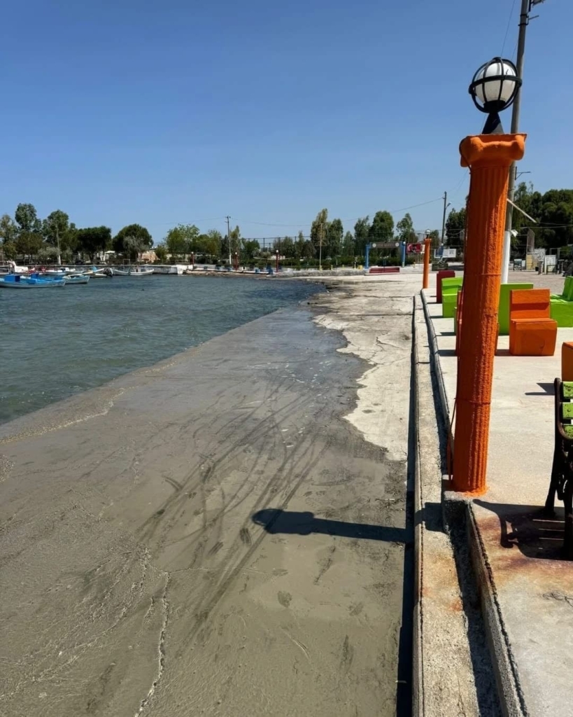 didim belediyesi mavisehir sahilini temizledi 7701dca35706