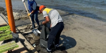Didim Belediyesi Mavişehir Sahili’ni temizledi