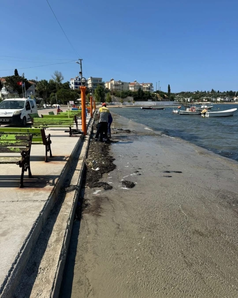 didim belediyesi mavisehir sahilini temizledi ae0d6b28450f