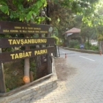 Dilek Yarımadası ve Tavşanburnu tatilcilerin akınına uğradı 1 Dilek Yarımadası ve Tavşanburnu tatilcilerin akınına uğradı