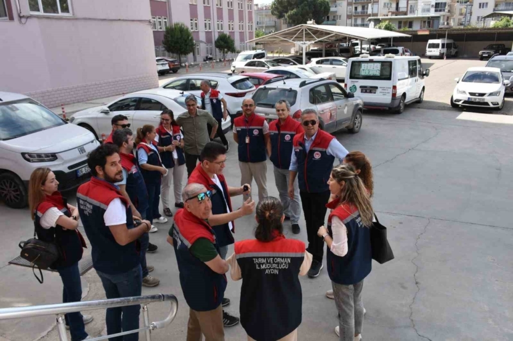 efelerde es zamanli yag denetimi 8f880be0f4a9